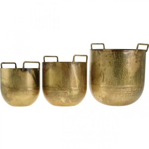 Floristik24 Cache-pot cache-pot aspect ancien avec anses métal H17 / 19,5 / 26cm, lot de 3