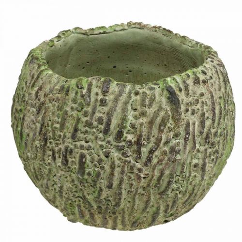 Floristik24 Jardinière en béton aspect antique vert, jardinière marron Ø13cm