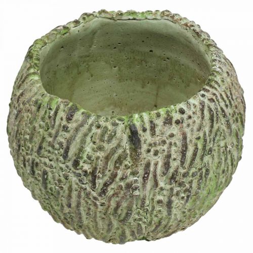 Article Jardinière en béton aspect antique vert, jardinière marron Ø13cm
