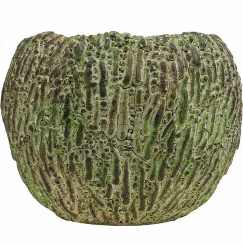 Article Jardinière en béton aspect antique vert, cache-pot marron rond Ø15,5cm