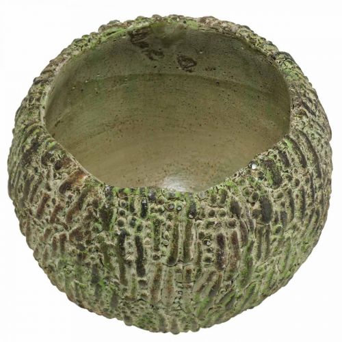 Article Jardinière en béton aspect antique vert, cache-pot marron rond Ø15,5cm