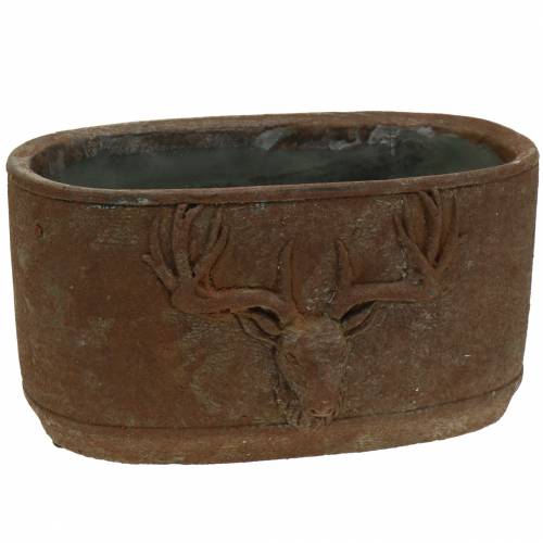 Floristik24 Cache-pot patine rouille avec tête de cerf 24cm x 14cm H13cm