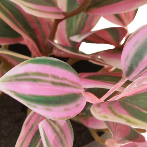 Article Tradescantia Plante verte artificielle en pot H19,5cm 2pcs