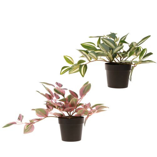 Article Tradescantia Plante verte artificielle en pot H19,5cm 2pcs