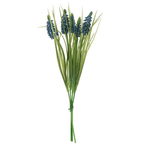 Floristik24 Muscari bleu L. 35 cm