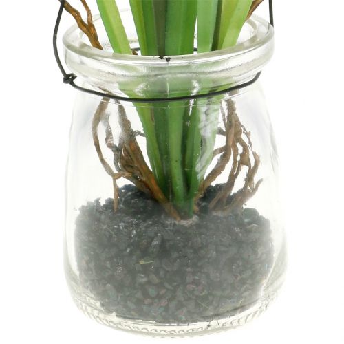 Article Jacinthe de raisin blanche dans un verre à suspendre H22cm