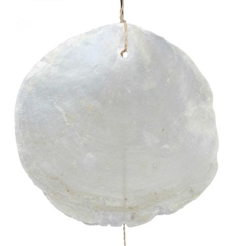 Article Guirlande coquillage Capiz bois flotté nacre H100cm