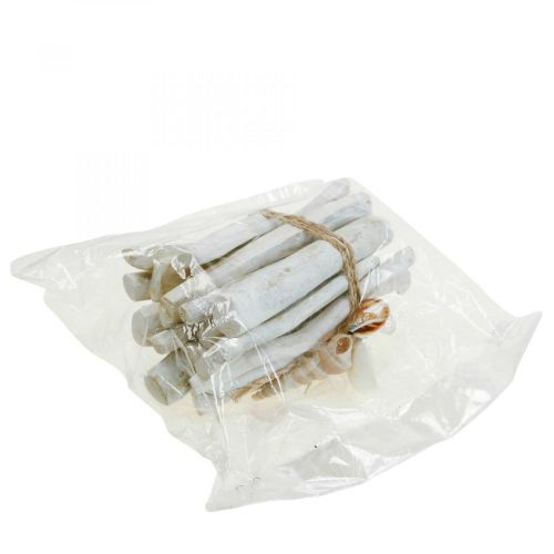 Article Lot de bois flotté Déco Bois flotté Blanc L15cm