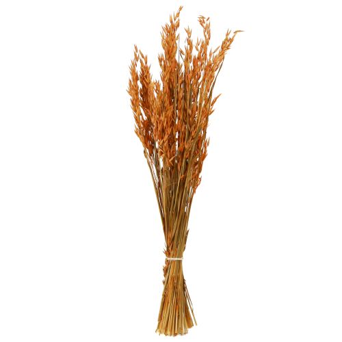 Article Déco Sec Avoine Déco en Orange L64cm 70-75g 2pcs