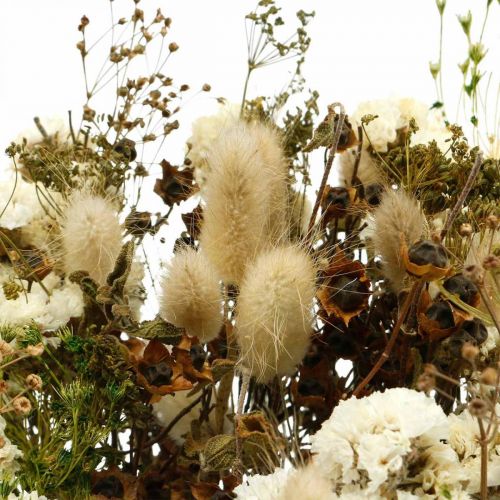 Floristik24 Bouquet de fleurs séchées aux graminées des prés blanc, vert, marron 125g fleurs séchées