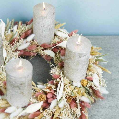Floristik24 Fleur séchée Lagurus Lampe Nettoyage Herbe Blanchie 100g