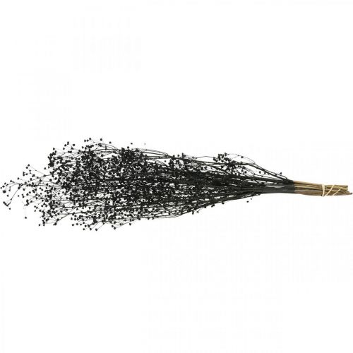 Article Fleur Séchée Massasa Noir Décoration Naturelle 50-55cm Bouquet de 10 pcs