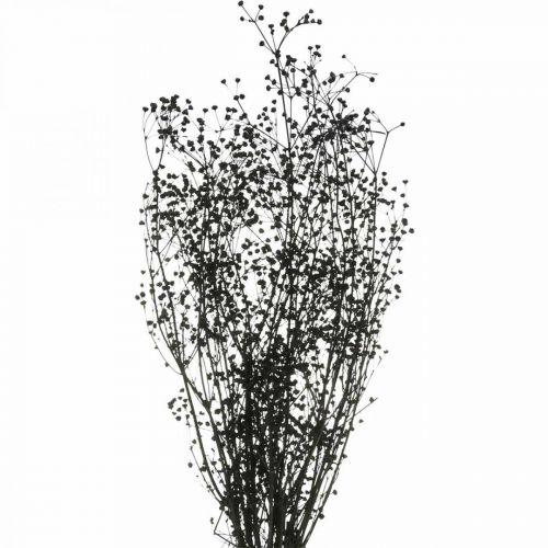 Article Fleur Séchée Massasa Noir Décoration Naturelle 50-55cm Bouquet de 10 pcs