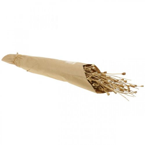 Article Fleurs séchées capsules de graines de pavot nature séchées bouquet de décoration séché sauvage 100g