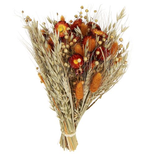 Floristik24 Fleurs séchées fleurs des champs bouquet fleurs paille orange L30cm