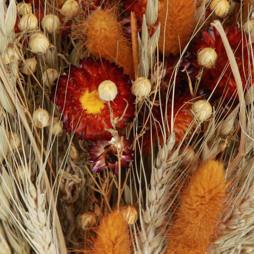 Article Fleurs séchées fleurs des champs bouquet fleurs paille orange L30cm
