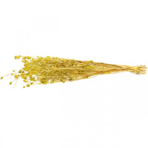 Article Fleurs séchées chardon sec jaune chardon fraise 100g
