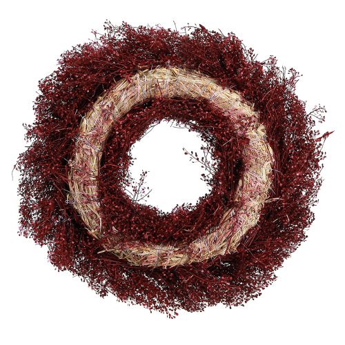 Article Couronne de fleurs séchées Couronne bordelaise Lepidium Ø33cm