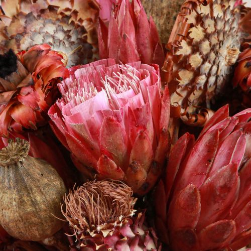 Article Mélange de fleurs séchées coquelicot artichaut protéa rose 38cm 580g