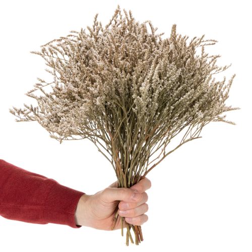 Bouquet de lavande de plage séchée (statice) 1 kg | Floristik24.be