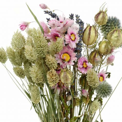 Floristik24 Bouquet d'herbe sauvage avec des fleurs de paille fleurs séchées 70g