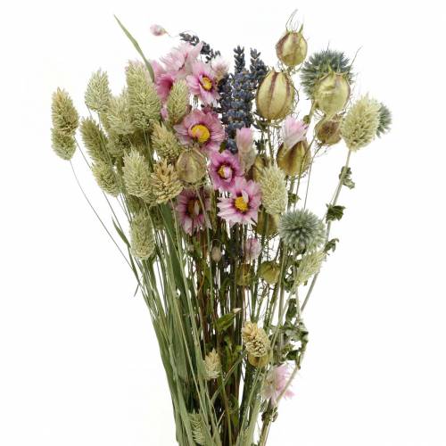 Floristik24 Bouquet d'herbe sauvage avec des fleurs de paille fleurs séchées 70g