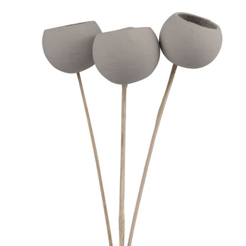 Article Fleurs séchées coupelles décoratives en forme de cloche sur tige gris 37cm 3 pcs