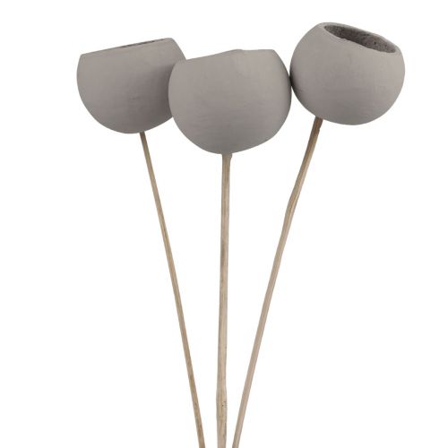 Floristik24 Fleurs séchées coupelles décoratives en forme de cloche sur tige gris 37cm 3pcs