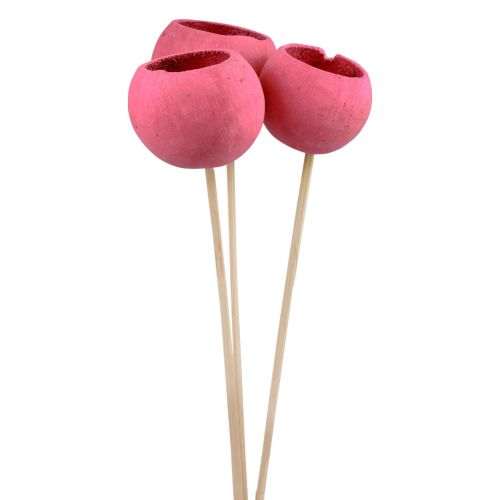 Article Fleurs séchées coupelles décoratives en forme de cloche sur tige rose 42cm 3pcs