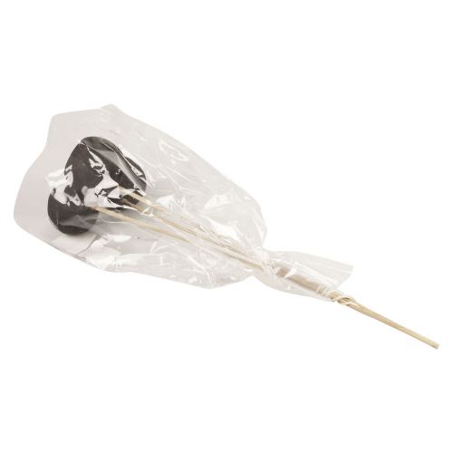 Article Fleurs séchées coupelles décoratives en cloche sur tige noir 44cm 3 pcs