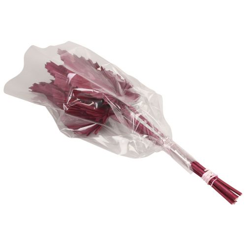 Article Feuille palmier Rouge bordeaux Palmspear séché 34-37cm 4pcs
