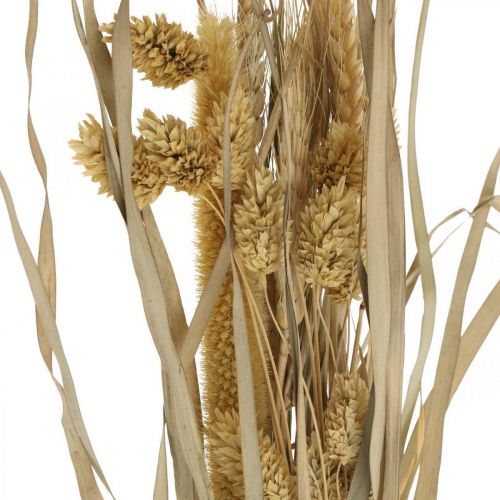 Floristik24 Herbes séchées et céréales naturelles en botte bouquet séché 48cm