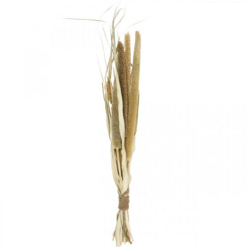 Fleuristerie sèche Céréales Botte d&#39;épis de millet séchés 45cm