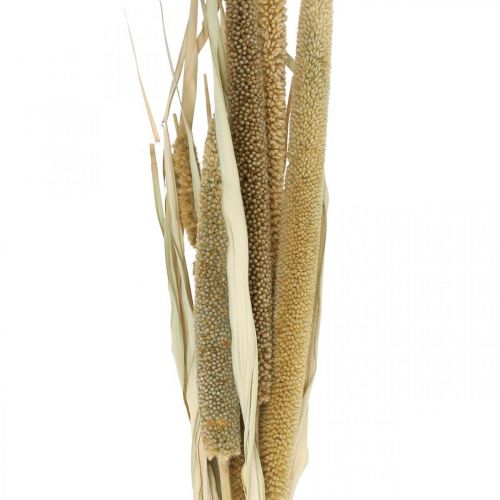 Article Fleuristerie sèche Céréales Botte d&#39;épis de millet séchés 45cm