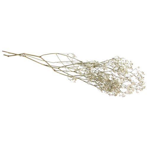 Floristik24 Fleurs séchées Gypsophila Gypsophila Blanche 58cm 7g