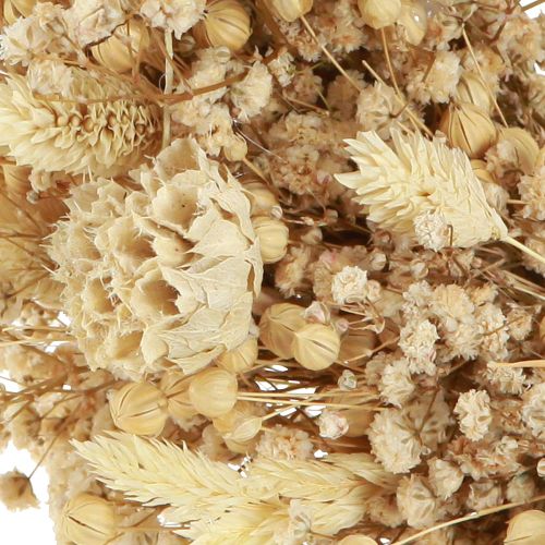 Article Couronne de fleurs sèches couronne décorative blanchie crème Ø25cm