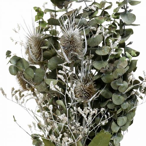 Article Bouquet de fleurs séchées eucalyptus bouquet de chardons 45-55cm 100g