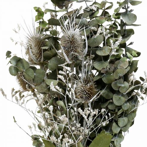 Floristik24 Bouquet de fleurs séchées eucalyptus bouquet de chardons 45-55cm 100g