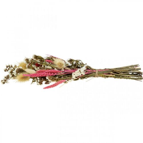 Floristik24 Bouquet de fleurs séchées bouquet de fleurs de paille chardon 40–45cm