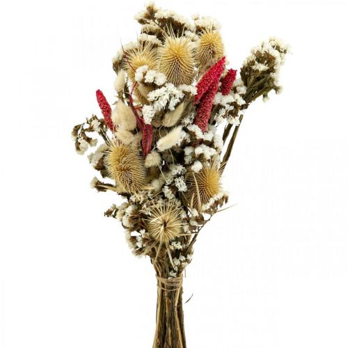 Floristik24 Bouquet de fleurs séchées bouquet de fleurs de paille chardon 40–45cm