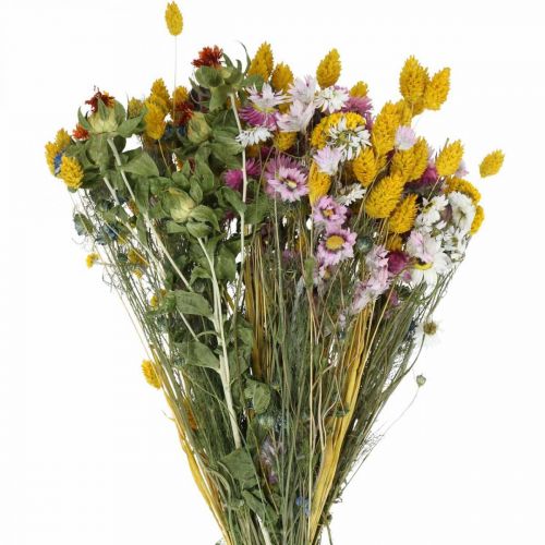 Floristik24 Bouquet de fleurs séchées Bouquet de fleurs séchées Bouquet de fleurs des prés 58cm