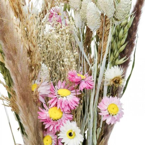 Floristik24 Bouquet de fleurs séchées herbe Phalaris paille fleurs rose 60cm 110g