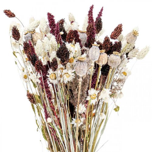 Floristik24 Bouquet de fleurs séchées décoration estivale fleurs séchées 58cm