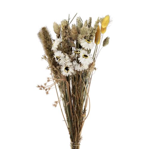 Bouquet de fleurs séchées fleurs de paille Phalaris blanc jaune 30cm