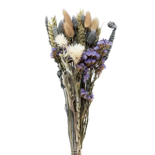 Floristik24 Bouquet de fleurs séchées fleurs de paille plage lilas violet 30cm