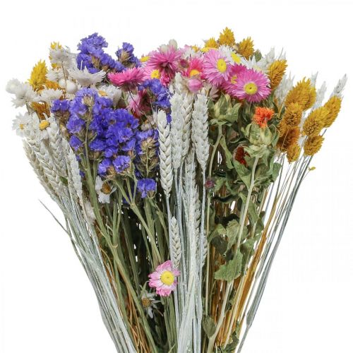 Floristik24 Bouquet de fleurs séchées fleurs de paille plage lavande Phalaris grain 55cm