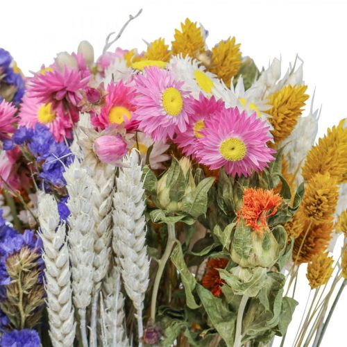Floristik24 Bouquet de fleurs séchées fleurs de paille plage lavande Phalaris grain 55cm
