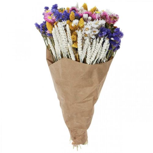 Floristik24 Bouquet de fleurs séchées fleurs de paille plage lavande Phalaris grain 55cm
