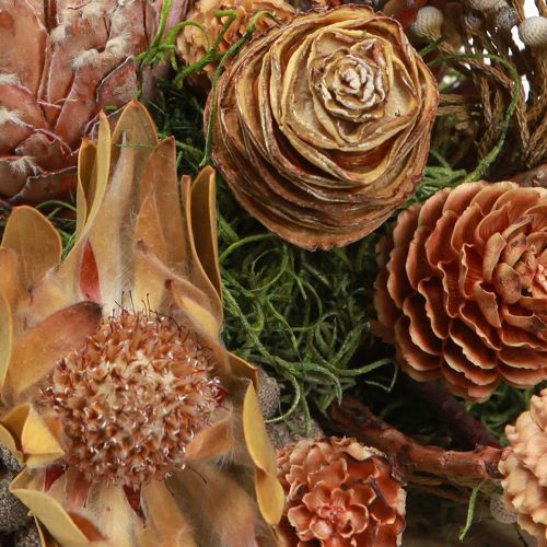 Article Cônes protéa exotiques décoration sèche Bellgum L24–48cm 580g