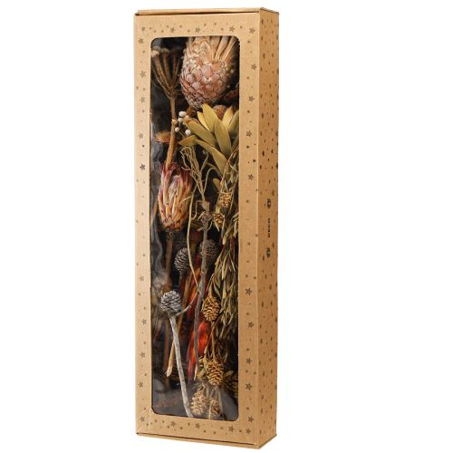 Article Cônes protéa exotiques décoration sèche Bellgum L24–48cm 580g